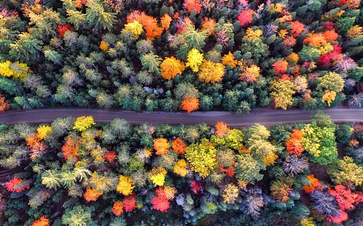 Fall Travel2 1
