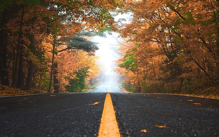 Fall Travel4 1