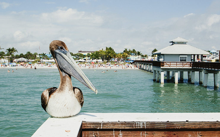Fortmyers