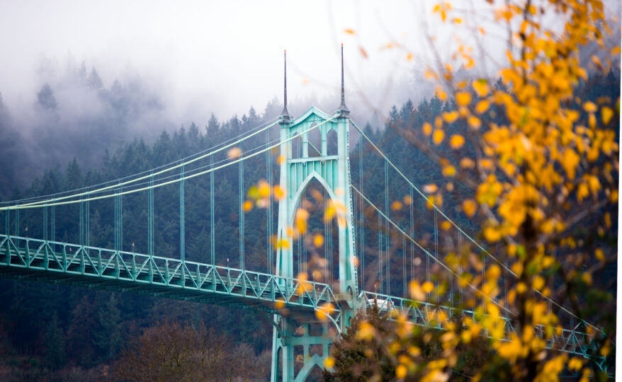 Adobe Stock 156431372