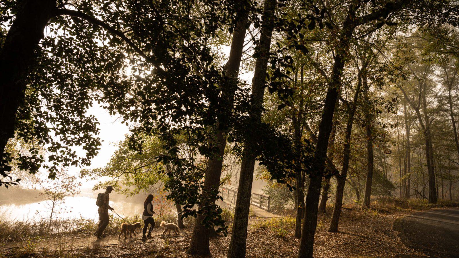 10 National Forests to Add to Your Bucket List