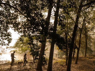 10 National Forests to Add to Your Bucket List