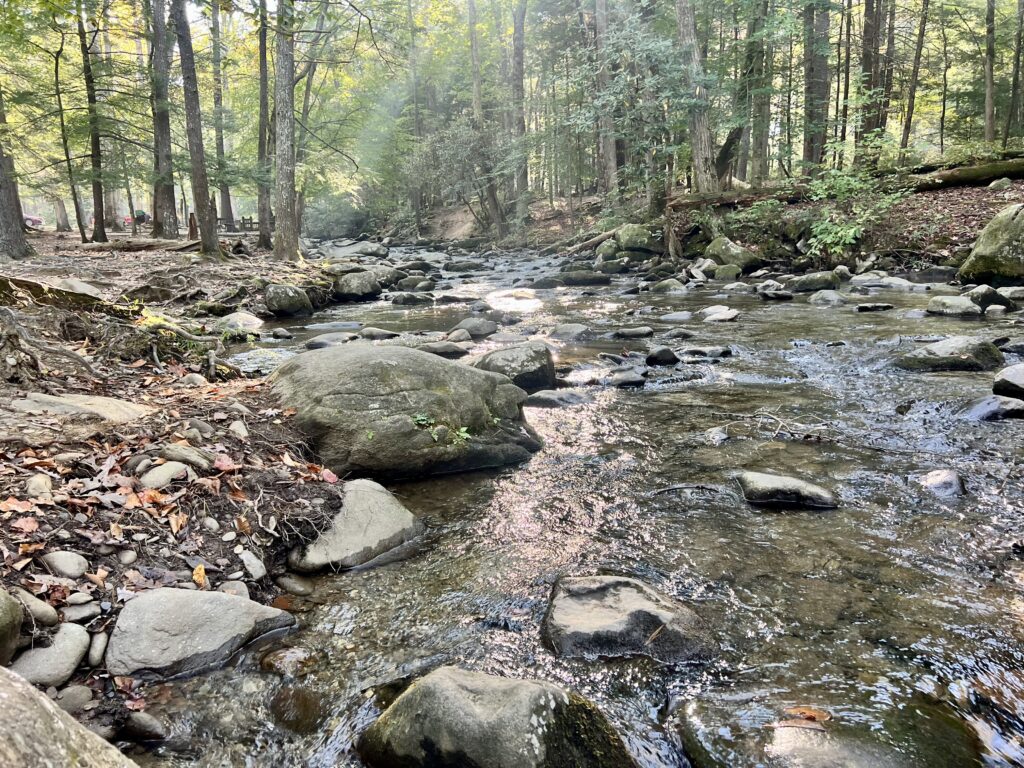 The perfect picnic spot, with water flowing beside you and tables in the perfect place.