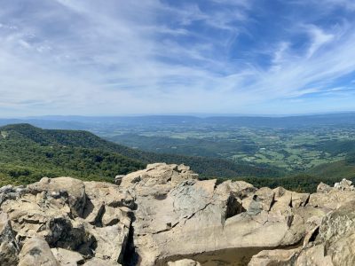 Three Weeks in Virginia